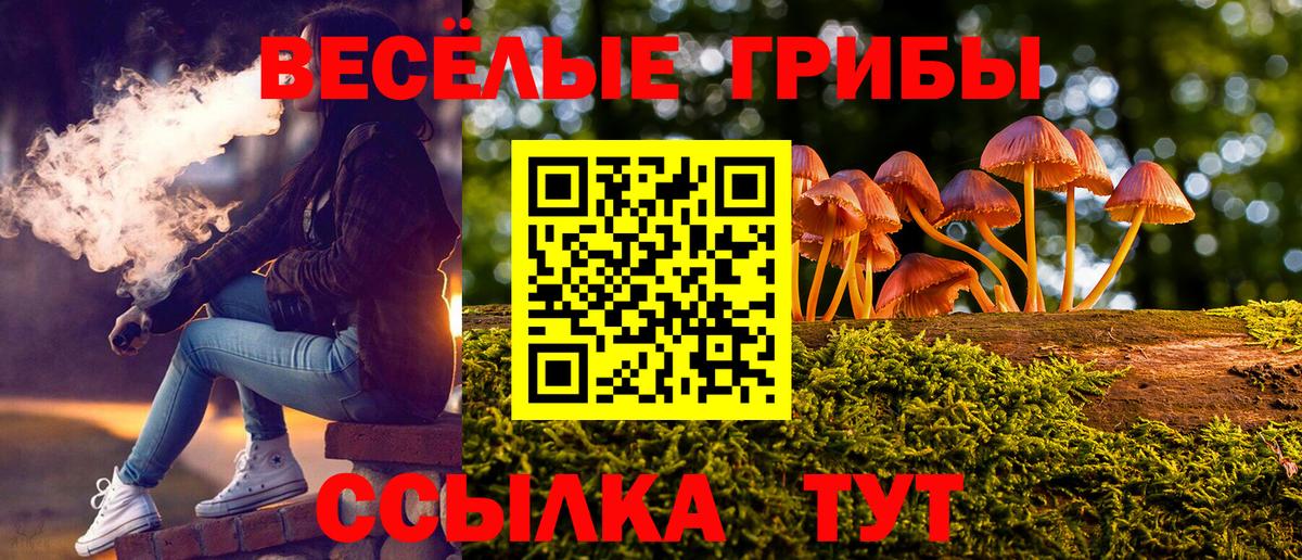 Дзержинский  закладки  Вход с VPN  Галлюциногенные грибы ЛСД  Псилоцибиновые грибы прущие грибы 