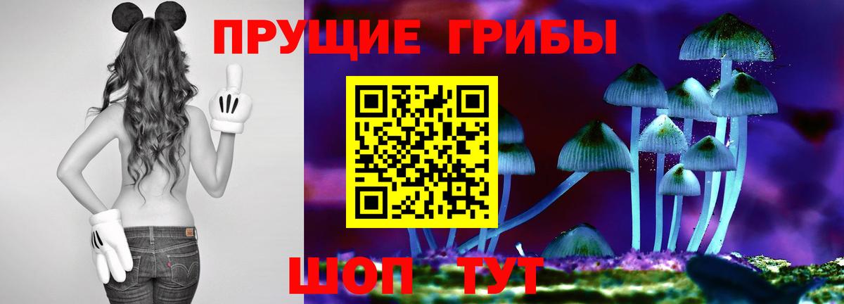Галлюциногенные грибы мухоморы Дзержинский
